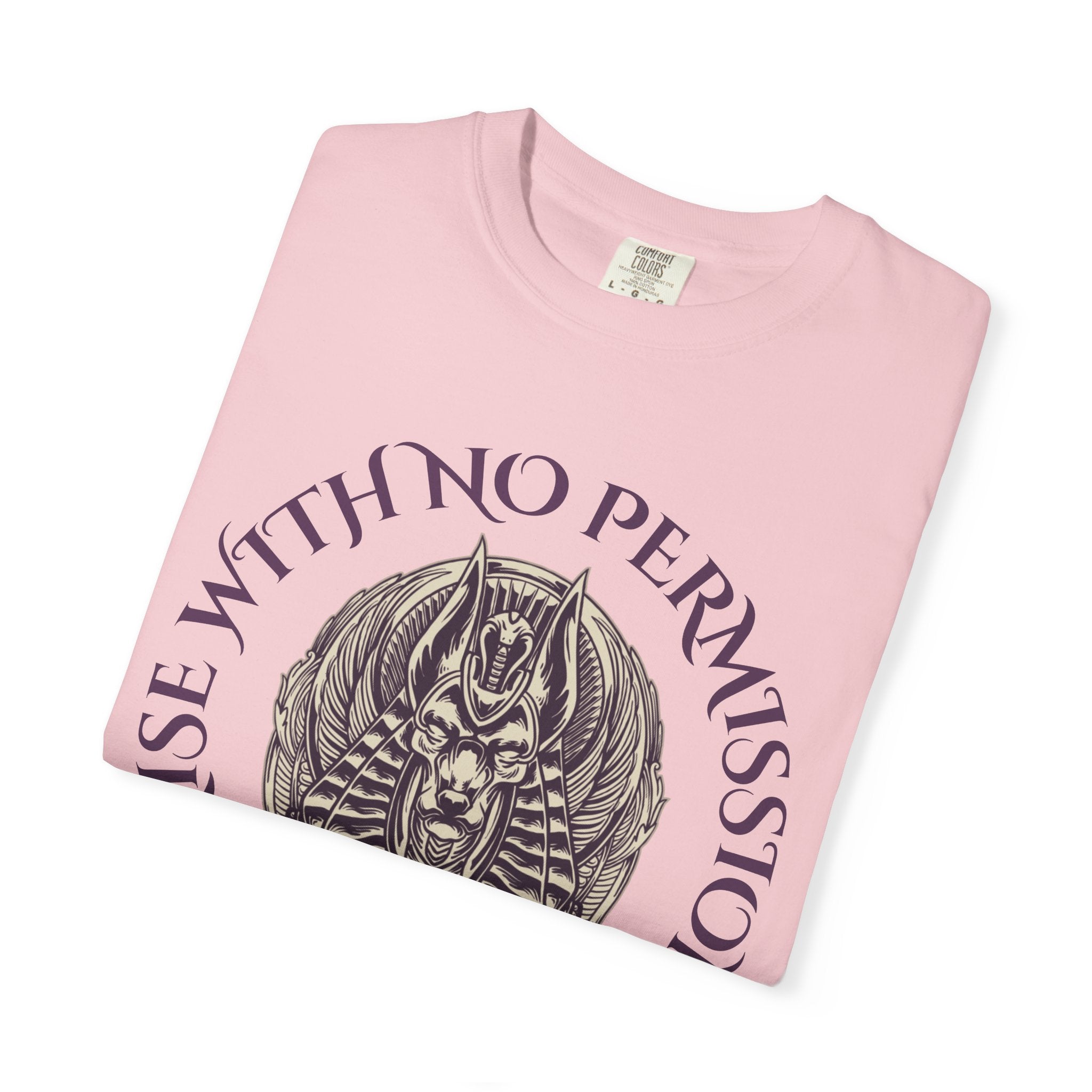 Rise With No Permission T-Shirt — Anubis Helmet Graphic Tee (“Your Song Is Your Spell”)
