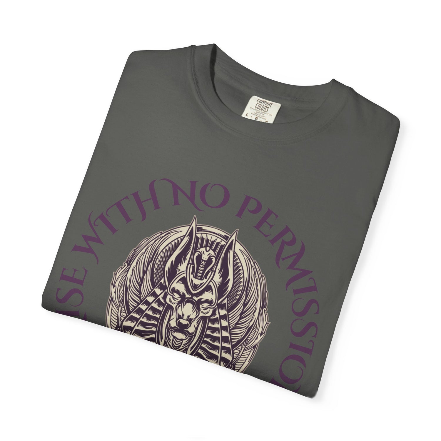 Rise With No Permission T-Shirt — Anubis Helmet Graphic Tee (“Your Song Is Your Spell”)