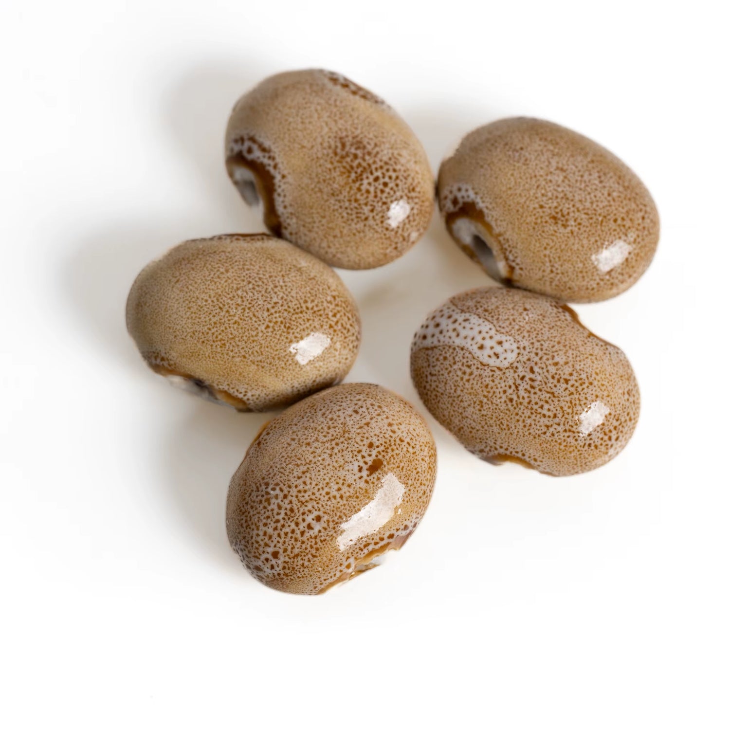 Imperial Kiln Ceramic Beads 5-Piece Porcelain Set – Vintage Restoration Style (