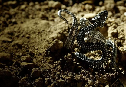 Serpent Coil Ring Adjustable Stainless Steel Animal Band